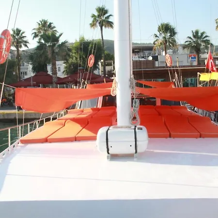 Barbaros Yachting Private Gulet 4 Cabin * 博德鲁姆